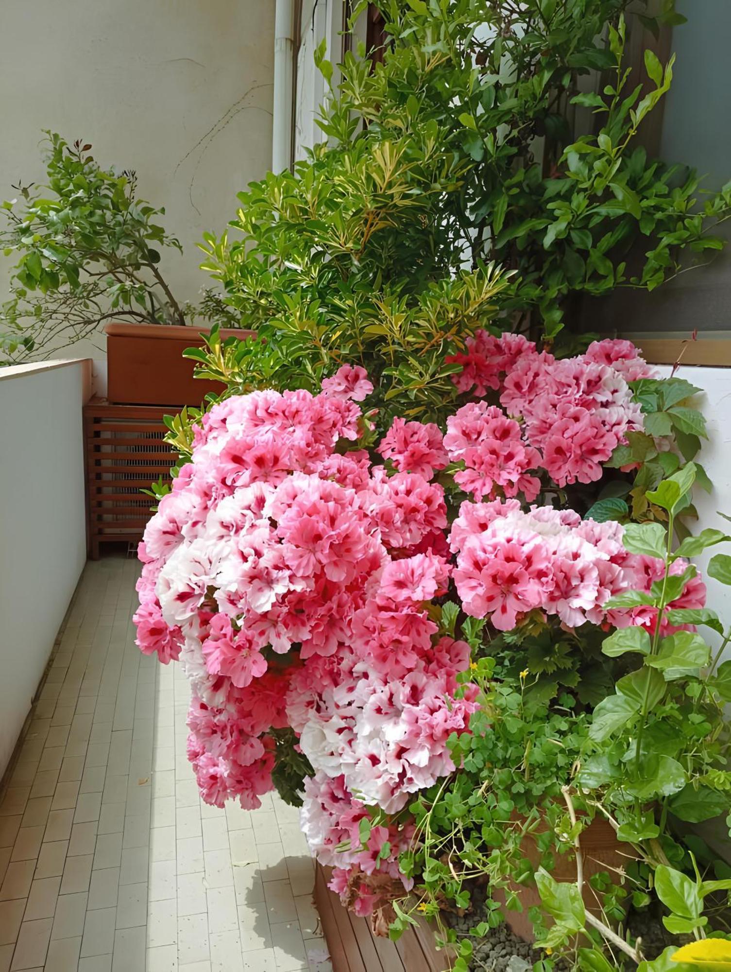 Appartamento La Casa Dei Fiori Firenze
